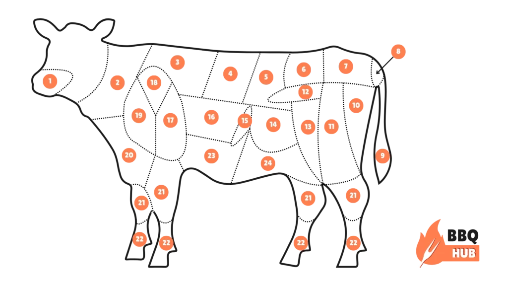 Vleesbenamingen van een koe